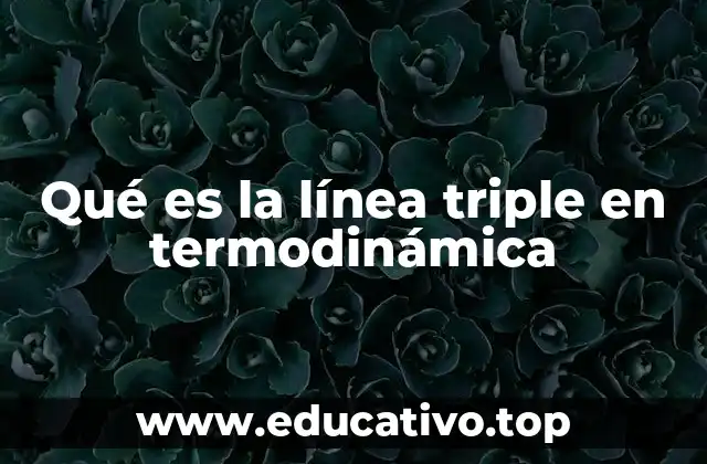 Qué es la línea triple en termodinámica