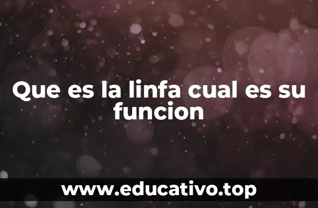 El sistema linfático: la red que transporta la linfa