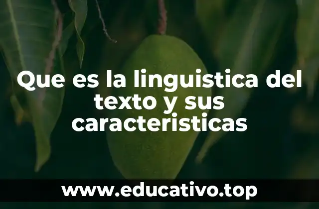Que es la linguistica del texto y sus caracteristicas