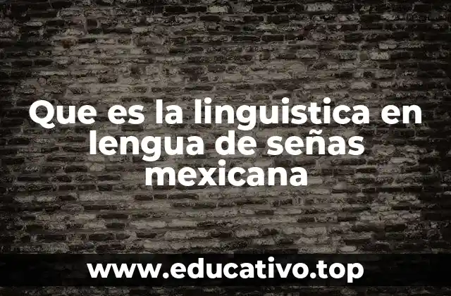Que es la linguistica en lengua de señas mexicana