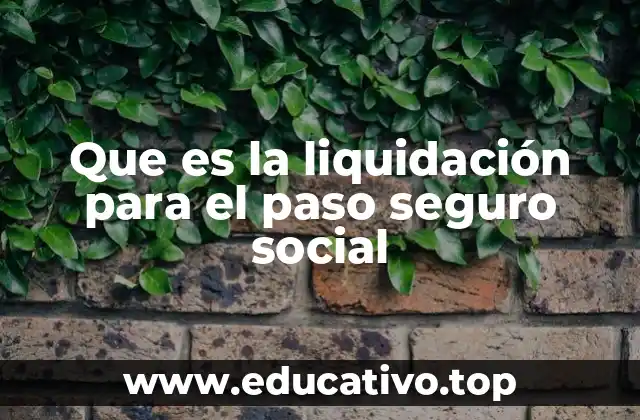 Que es la liquidación para el paso seguro social