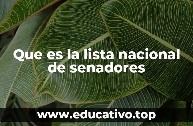 Que es la lista nacional de senadores