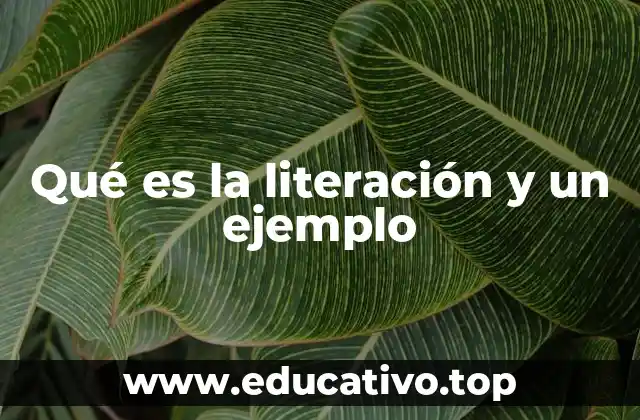 Qué es la literación y un ejemplo