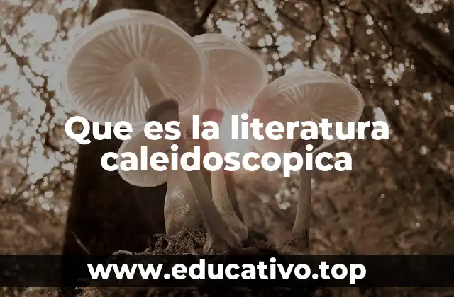 Que es la literatura caleidoscopica