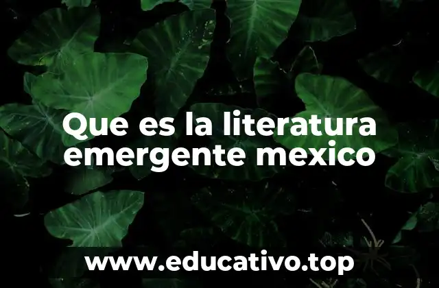 Que es la literatura emergente mexico