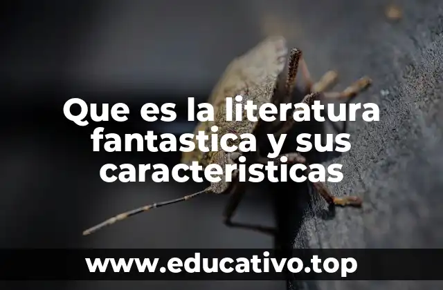 Que es la literatura fantastica y sus caracteristicas