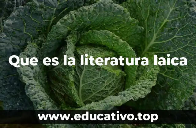 Que es la literatura laica