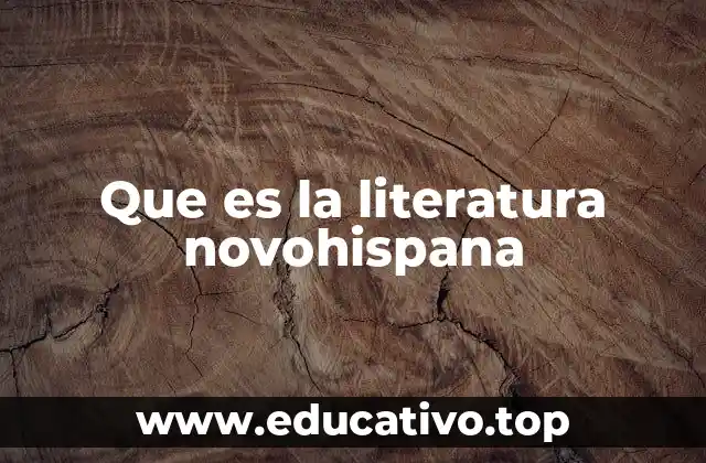 Que es la literatura novohispana