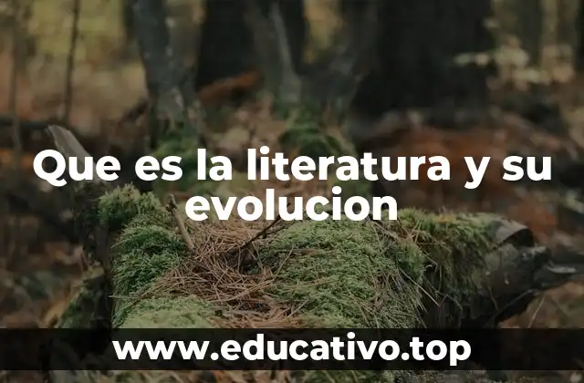 Que es la literatura y su evolucion
