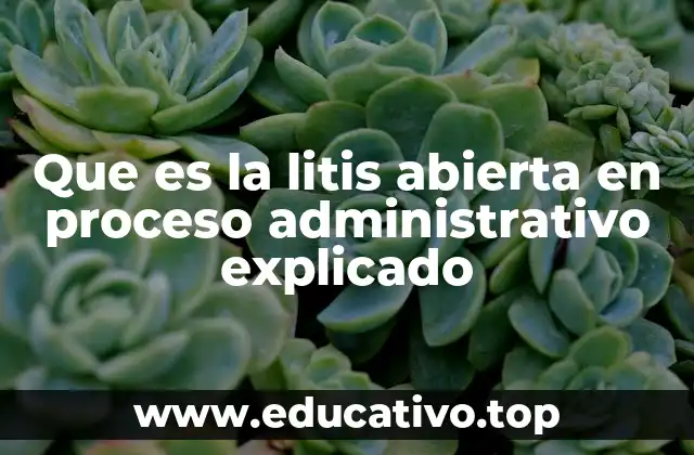 Que es la litis abierta en proceso administrativo explicado