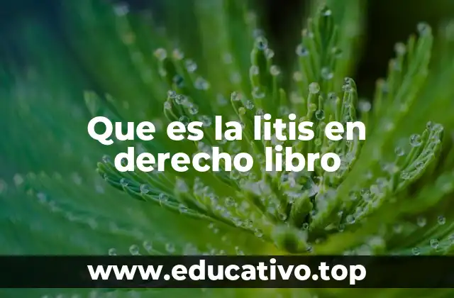 Que es la litis en derecho libro