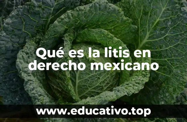 Qué es la litis en derecho mexicano