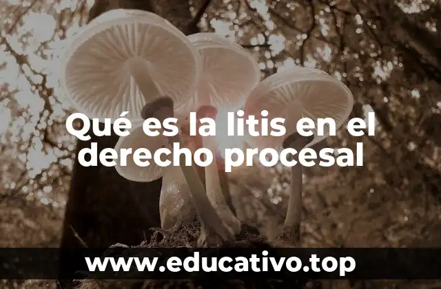 Qué es la litis en el derecho procesal
