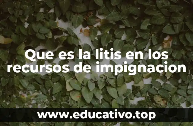 Que es la litis en los recursos de impignacion