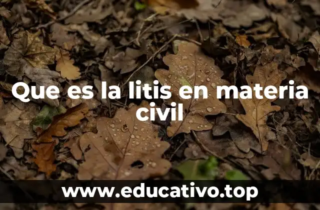 Que es la litis en materia civil