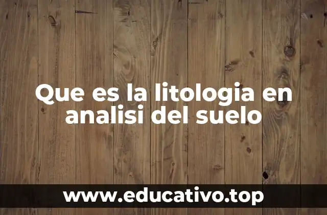 Que es la litologia en analisi del suelo