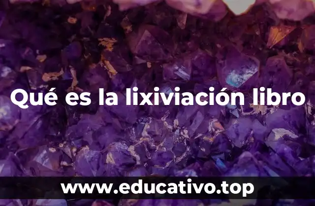 Qué es la lixiviación libro