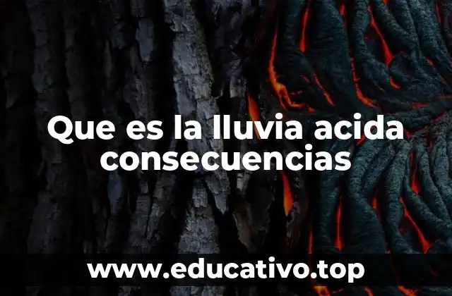 Que es la lluvia acida consecuencias