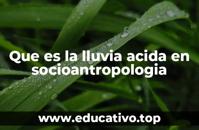 Que es la lluvia acida en socioantropologia