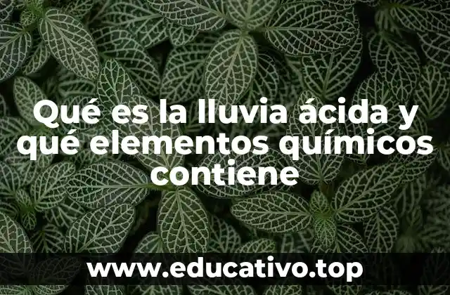 Qué es la lluvia ácida y qué elementos químicos contiene