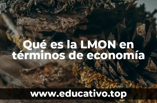 Qué es la LMON en términos de economía