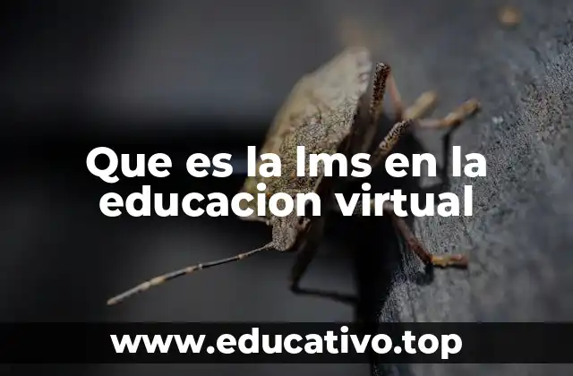La importancia de las herramientas digitales en la educación