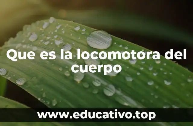 Que es la locomotora del cuerpo