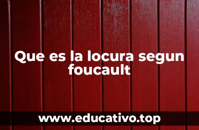 Que es la locura segun foucault