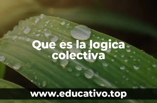 Que es la logica colectiva