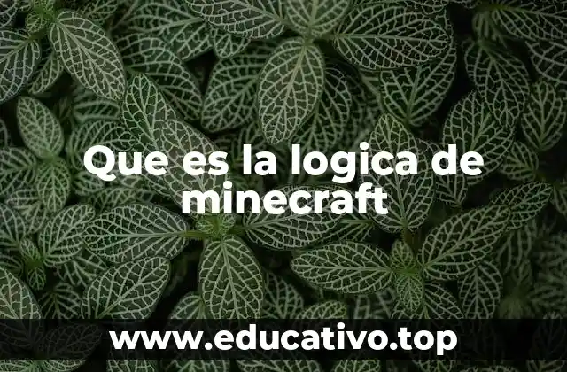 Que es la logica de minecraft