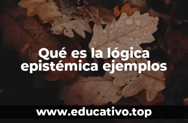 Qué es la lógica epistémica ejemplos