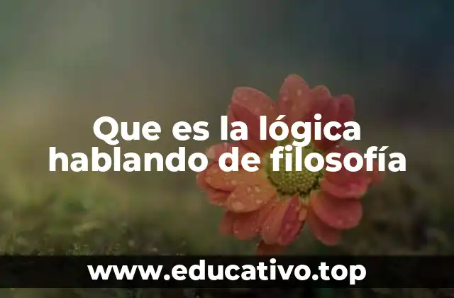 Que es la lógica hablando de filosofía