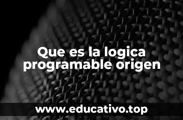 Que es la logica programable origen
