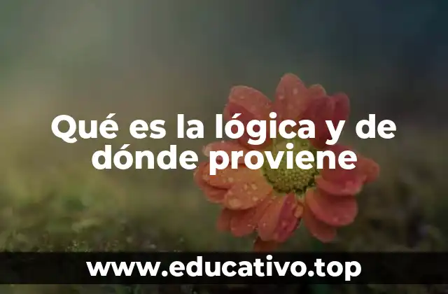 Qué es la lógica y de dónde proviene