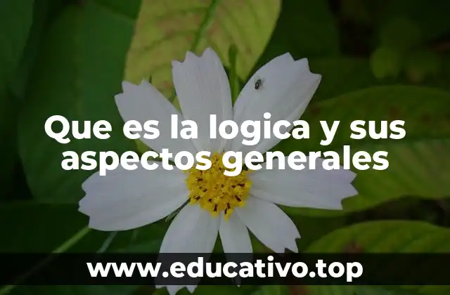 Que es la logica y sus aspectos generales