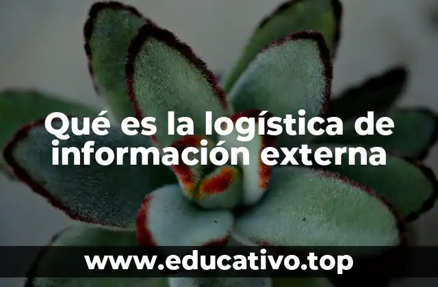 La importancia de la comunicación entre organizaciones