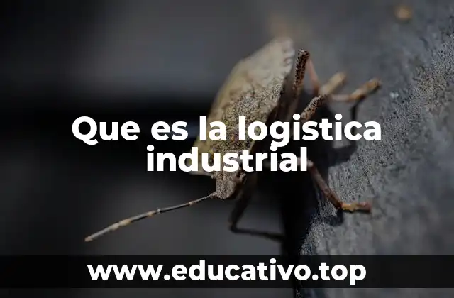 Que es la logistica industrial