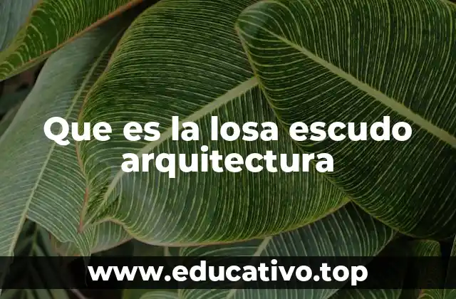 Que es la losa escudo arquitectura