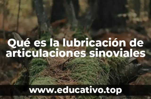 Qué es la lubricación de articulaciones sinoviales