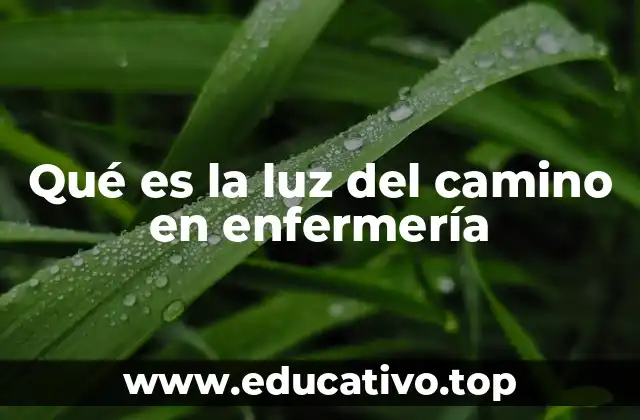 Qué es la luz del camino en enfermería