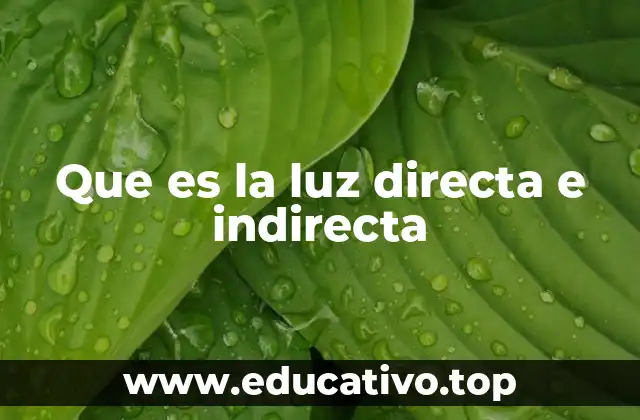 Que es la luz directa e indirecta