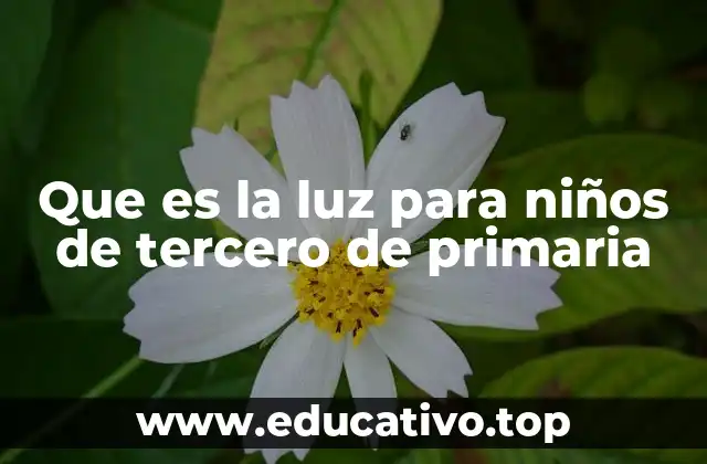 Que es la luz para niños de tercero de primaria