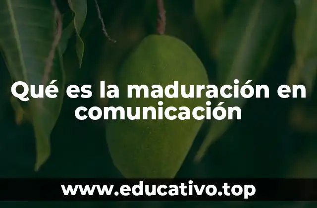 Qué es la maduración en comunicación