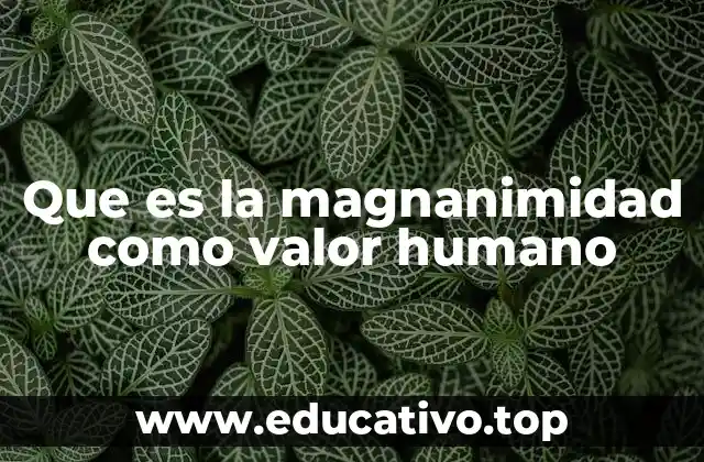 Que es la magnanimidad como valor humano