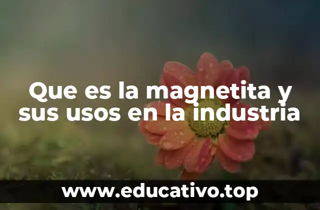 Que es la magnetita y sus usos en la industria