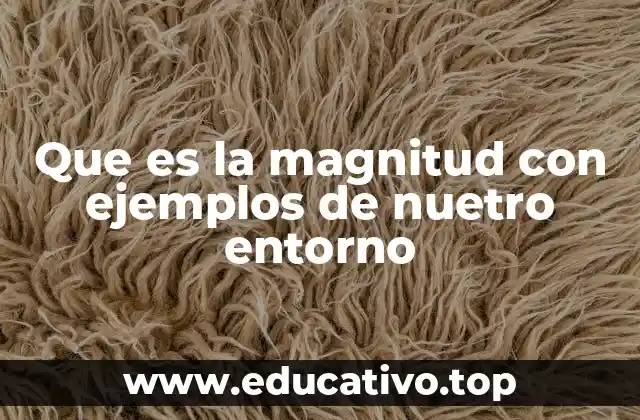 Que es la magnitud con ejemplos de nuetro entorno
