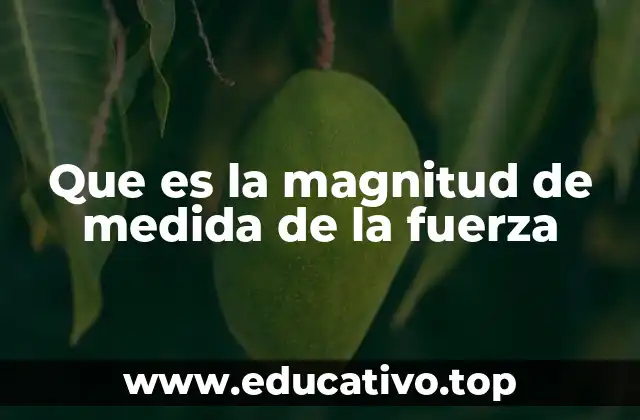 La importancia de cuantificar la fuerza en la física