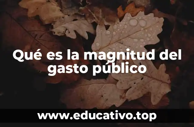 Qué es la magnitud del gasto público