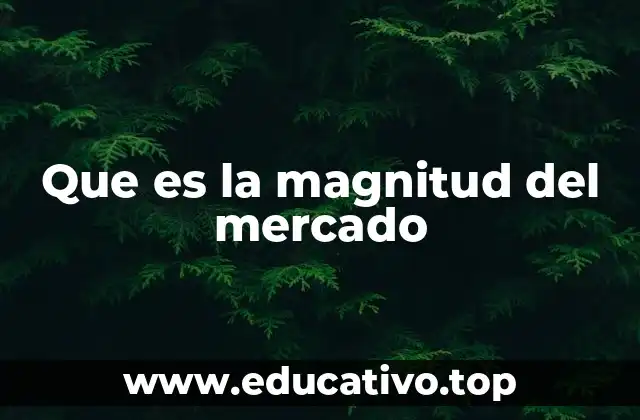 Que es la magnitud del mercado