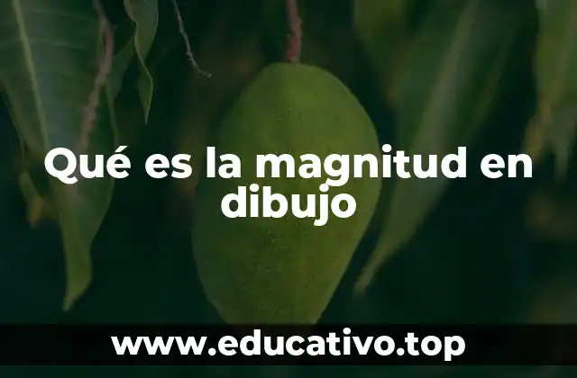 Qué es la magnitud en dibujo